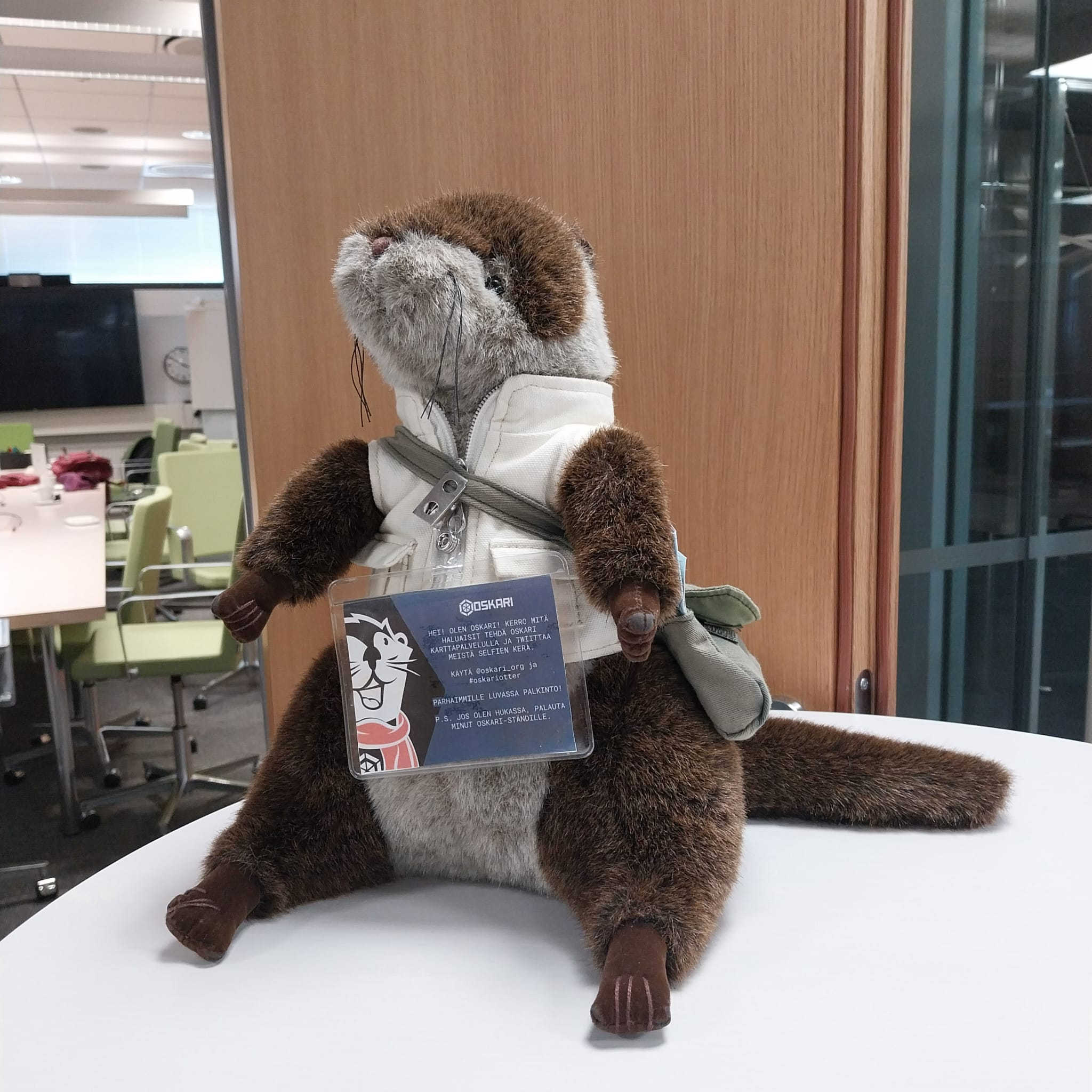 A photograph of the Oskari Otter. A photograph by Riikka Kivekäs.